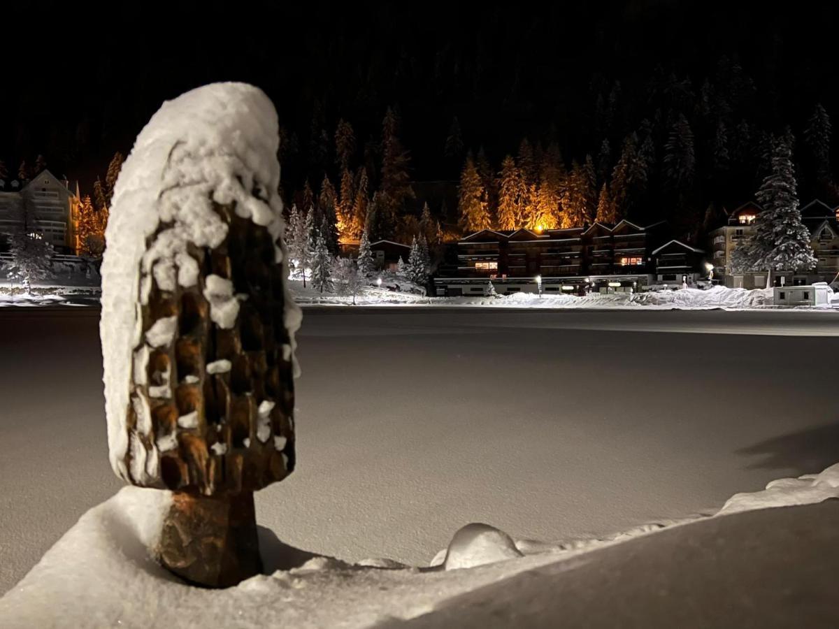 Superbe Appartement Champex-Lac Avec Piscine Et Sauna Dış mekan fotoğraf