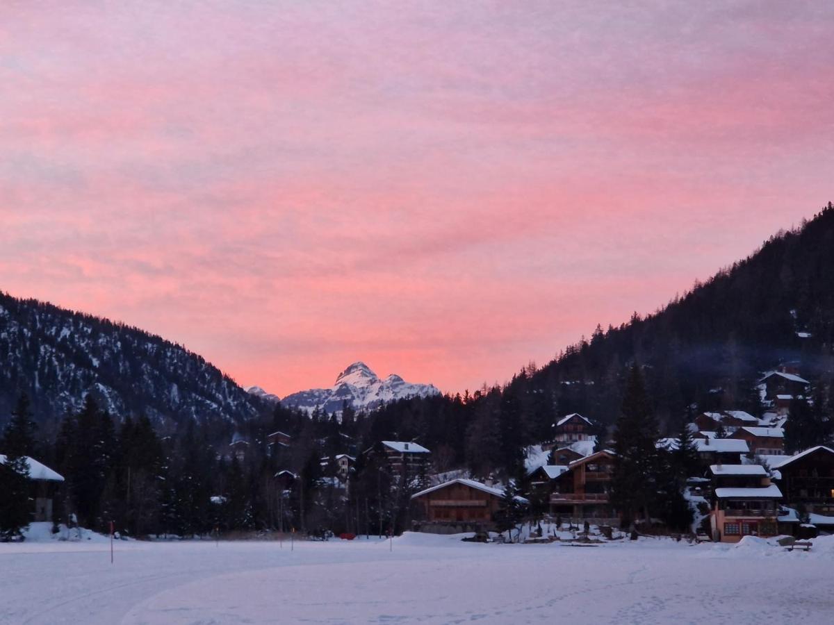 Superbe Appartement Champex-Lac Avec Piscine Et Sauna Dış mekan fotoğraf