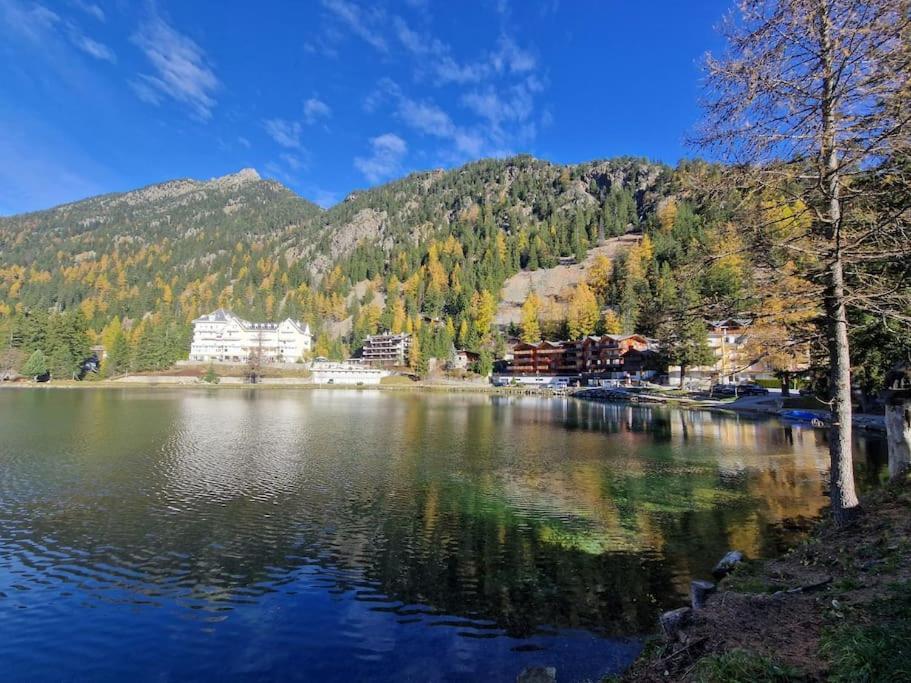 Superbe Appartement Champex-Lac Avec Piscine Et Sauna Dış mekan fotoğraf