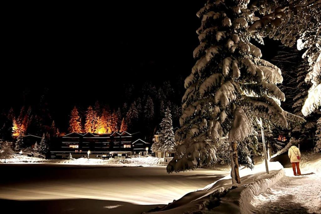 Superbe Appartement Champex-Lac Avec Piscine Et Sauna Dış mekan fotoğraf